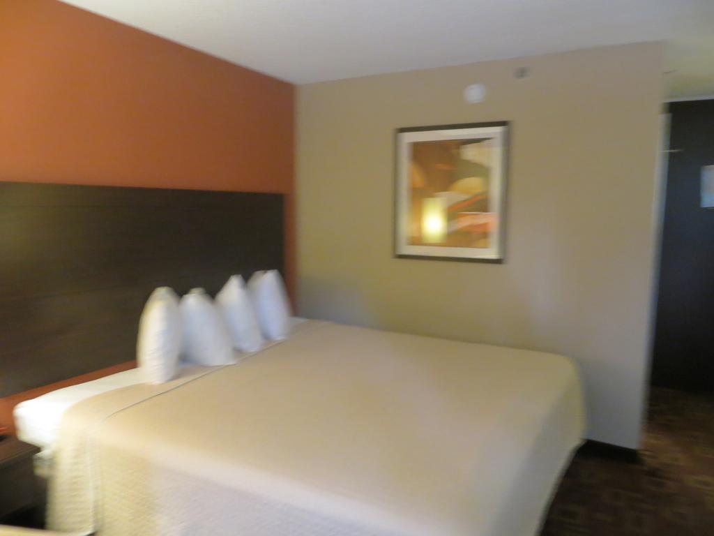 University Inn Austin North Phòng bức ảnh